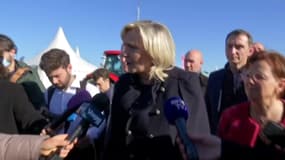 "Il y a une arrière-pensée électoraliste": Marine Le Pen critique à l'égard du chèque inflation