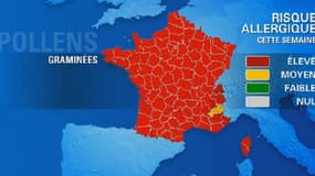 Le risque d'allergies au pollen est maximal sur une très grande partie de la France.