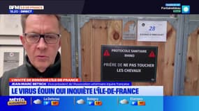 Île-de-France: un virus équin inquiète les centres équestres