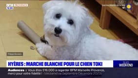 Hyères: une marche blanche pour le chien Toki, euthanasié pour une suspicion de contamination à la rage