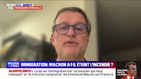 Loi immigration: "Ce texte va dans le bon sens", pour Louis Aliot (maire RN de Perpignan)