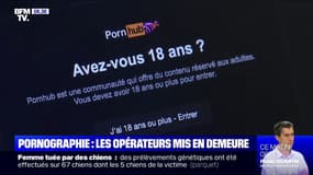 Emmanuel Macron exige la mise en place d'un contrôle parental par défaut sur les sites pornographiques