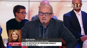 Faut-il un statut de "personne animale" dans le Code civil ? - 22/10