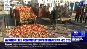 Avignon: les pomiculteurs manifestaient samedi pour demander une revalorisation du prix de vente de 20 centimes par kilo