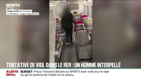 Tentative de viol dans le RER C: les enquêteurs travaillent sur la piste d'éventuelles autres victimes du suspect interpellé