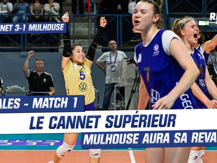 Ligue A - Volley : Actu, Vidéos, Calendrier, Classement Et Résultats