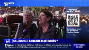 Salon de l'agriculture, salons du chiot: les animaux sont-ils maltraités? BFMTV répond à vos questions