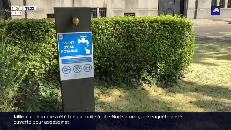 Canicule: dix fontaines d'eau potable installées à Lille