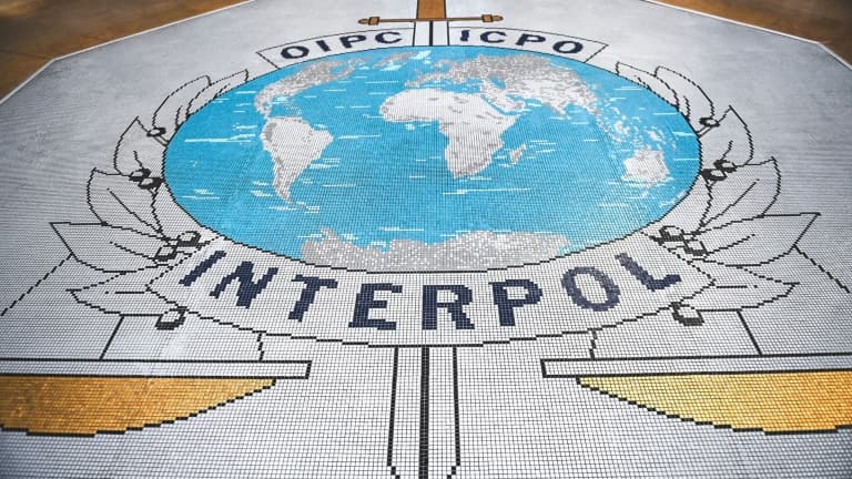 L'opération annuelle d'Interpol de lutte contre la fraude en ligne a battu des records en 2024 avec plus de 5.500 arrestations et 400 millions de dollars saisis dans le monde