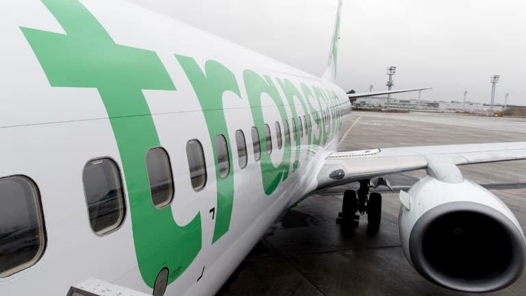 Un avion de la compagnie Transavia  à laéroport d'Orly. (Photo d'illustration)