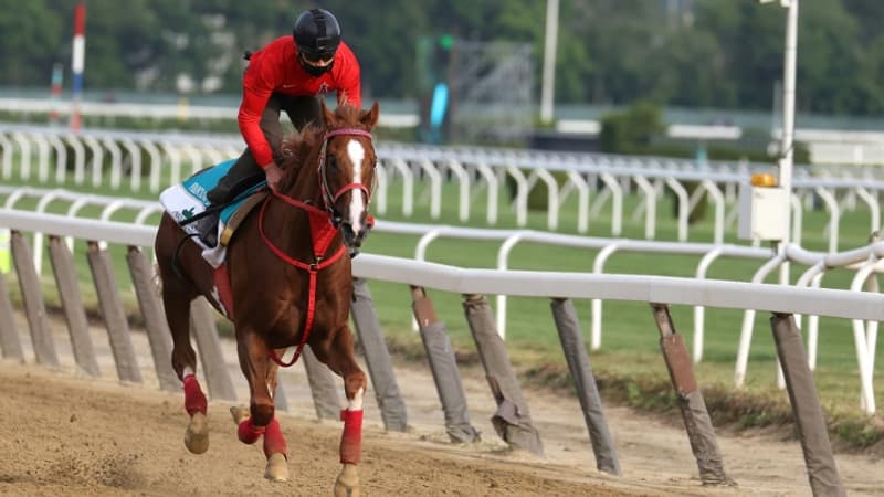 Mayenne: un vétérinaire mis en examen pour dopage sur des chevaux de courses hippiques