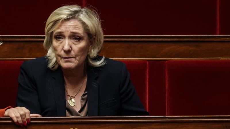 La cheffe de file des députés du RN, Marine Le Pen, à l'Assemblée nationale le 22 janvier 2025