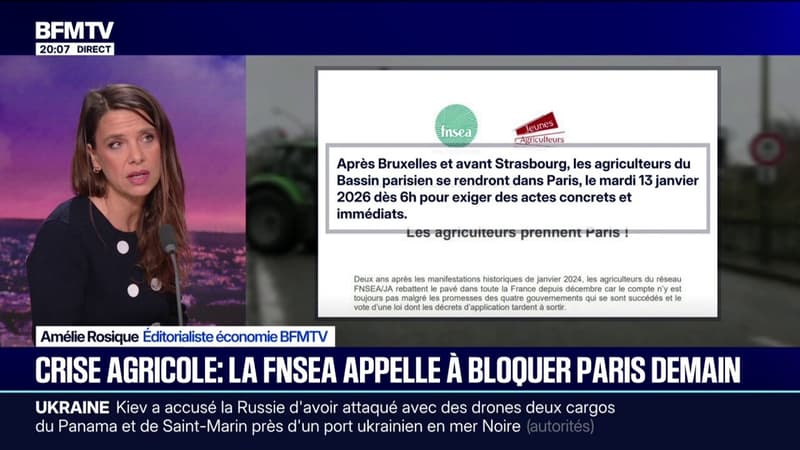 Colère agricole: la FNSEA appelle à bloquer Paris ce 13 janvier