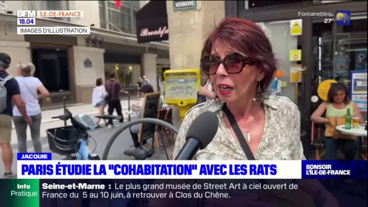 Rats à Paris : la nouvelle stratégie d'Anne Hidalgo pour les faire