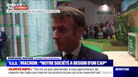 Emmanuel Macron sur la réforme des retraites: "Je souhaite que le Sénat puisse enrichir ce texte avec ce qui lui parait utile"