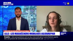 "On est dans une impasse": la porte-parole du réseau AMAP des Hauts-de-France réclame un fond d'urgence pour les maraîchers