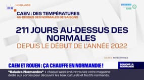 Normandie: les températures ont largement dépassé les normales de saison depuis le début de l'année
