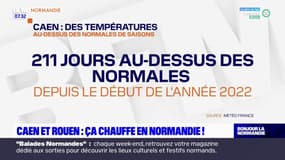 Normandie: les températures ont largement dépassé les normales de saison depuis le début de l'année