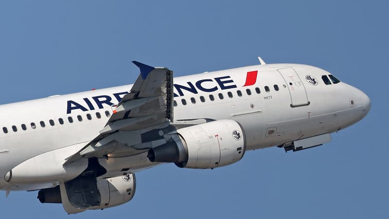 "Une scène assez angoissante": un vol Paris-Ajaccio d'Air France dérouté vers Lyon en raison d'un "problème technique"