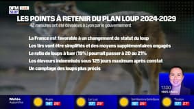 Var: le plan loup 2024-2029 dévoilé par le gouvernement 