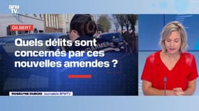 BFMTV répond à vos questions : Quels délits sont concernés par ces nouvelles amendes ? - 15/09