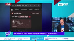 On n'arrête pas le progrès : Colle dans la pizza ou fumer enceinte, quand l'IA devient folle ! - 28/05