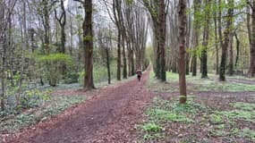 Le parc de Sceaux dans les Hauts-de-Seine. 