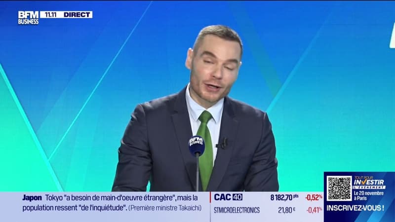 Les terres rares, un secteur d'opportunité ?