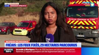 Incendie à Fréjus: 200 pompiers toujours mobilisés contre toute reprise des flammes