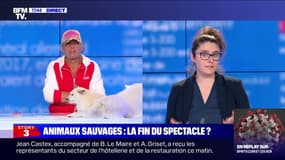 Story 3 : Le gouvernement annonce la fin des animaux sauvages dans les cirques - 29/09