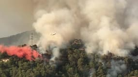Incendie de végétation à Castagniers  - Témoins BFMTV