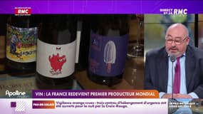 Lechypre d'Affaires - Vin : La France redevient premier producteur mondial