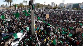 Des partisans de Mouammar Kadhafi manifestent dans le centre de Tripoli. Le "guide" libyen dont le régime est contesté a transformé dimanche la capitale en un lieu de célébration de ses 41 ans de règne sur le pays, même si Tripoli elle-même se montre divi