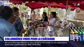 Collobrières: la 37ème fête de la châtaigne fait carton plein