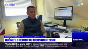 Rhône: présent depuis une dizaine d'années, le moustique tigre fait son retour