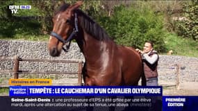 Quatre ans après la tempête Alex, ce cavalier craint de devoir vendre sa jument pour payer ses réparations