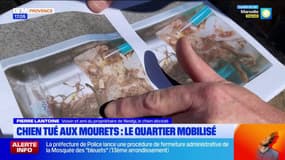 Marseille: un chien meurt au quartier des Mourets après avoir ingéré du verre et des médicaments