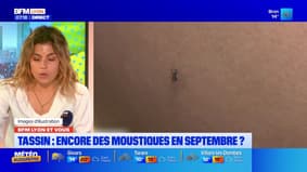 BFM Lyon et vous: comment faire face aux moustiques ?