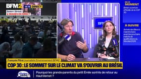 Ouverture de la COP 30 au Brésil: à quoi servent vraiment ces conférences sur le climat?