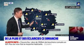 Météo Paris-Ile de France du 17 janvier: De la pluie et des éclaircies