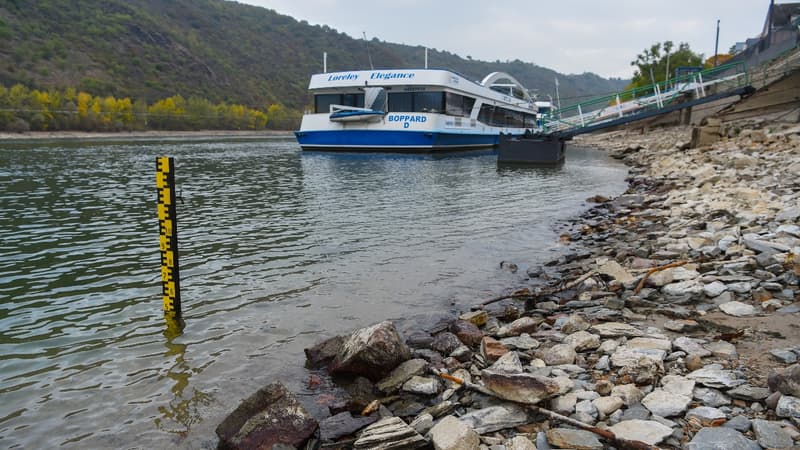 Pour que les niveaux du Rhin remontent de manière durable, il faut une pluie longue, intensive et très étendue, notamment dans le sud du pays, où se trouvent les principaux affluents.