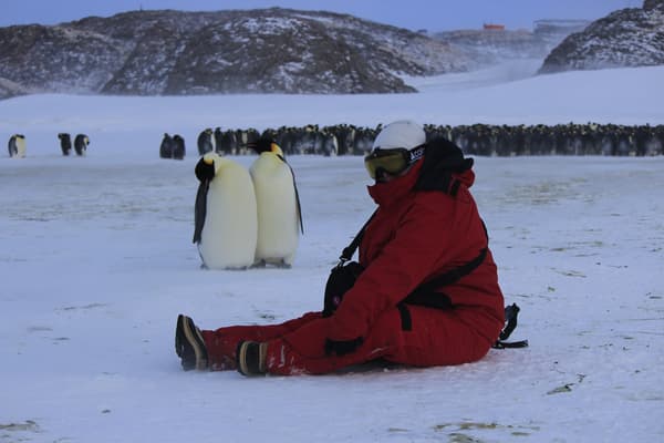 La chimiste Charlène Garau en compagnie de manchots empereur en Antarctique, en 2020