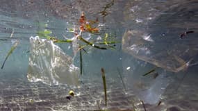 Des sacs plastique flottent dans la mer, à Marseille, le 30 mai 2019