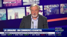 Vincent Montagne: "Amazon représente à peu près 11%" des ventes de livres