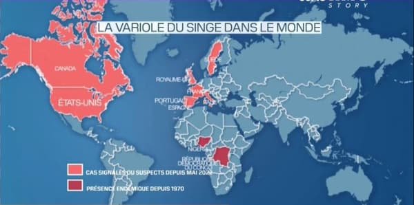 Les pays où la variole du singe a été repéré