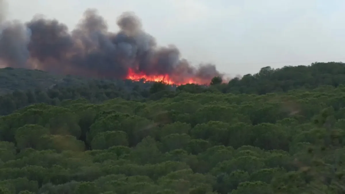 "Tout était noir, la cendre tombait": des sinistrés racontent le violent  incendie dans l'Aude