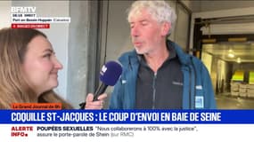 Coquille Saint-Jacques: coup d'envoi en baie de Seine