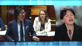 "Je peux vous assurer que Jean-Vincent Placé n'est pas le seul politique alcoolique"