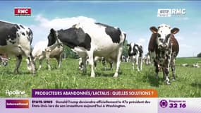 Lactalis: des débouchés pour les agriculteurs abandonnés 