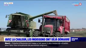 Nord: avec la chaleur, les moissons ont déjà démarré